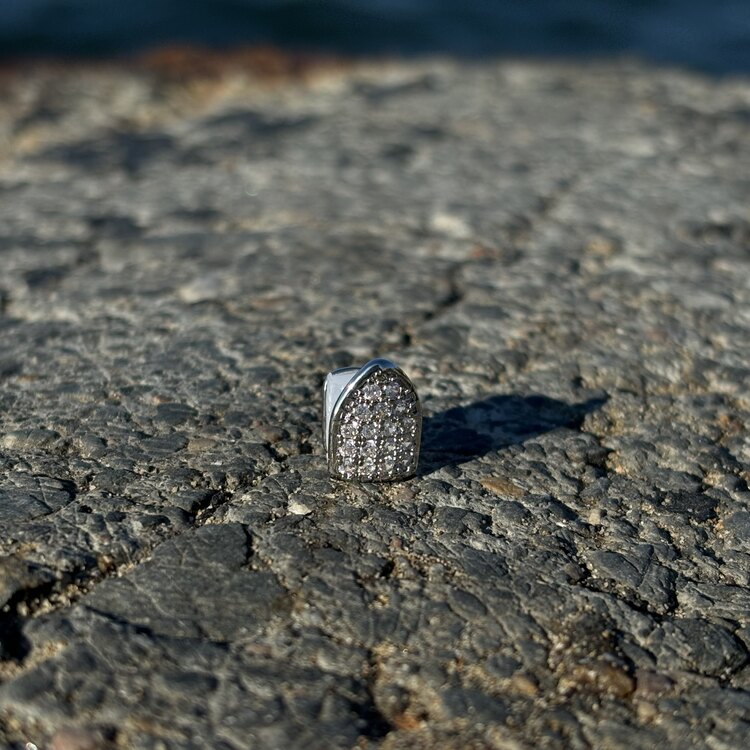 ICE SINGLE TAŞLI GRILLZ