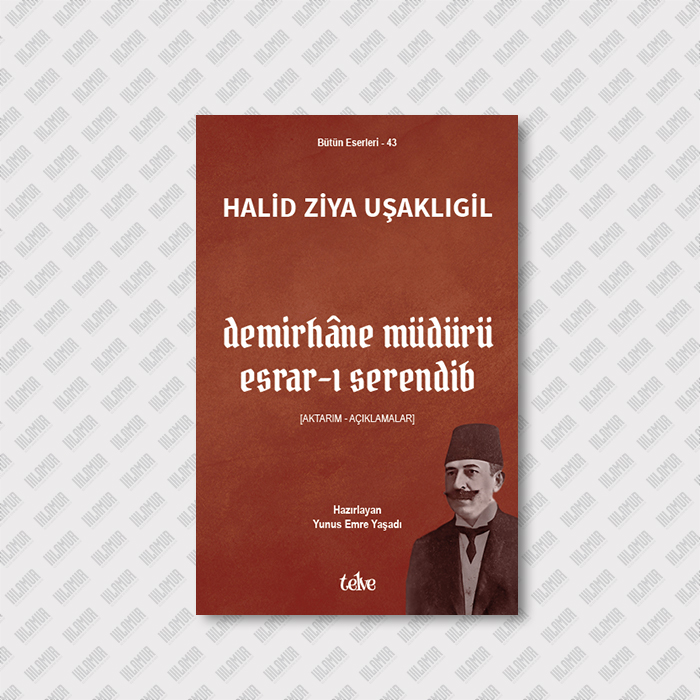 DEMİRHÂNE MÜDÜRÜ VE ESRAR-I SERENDİB