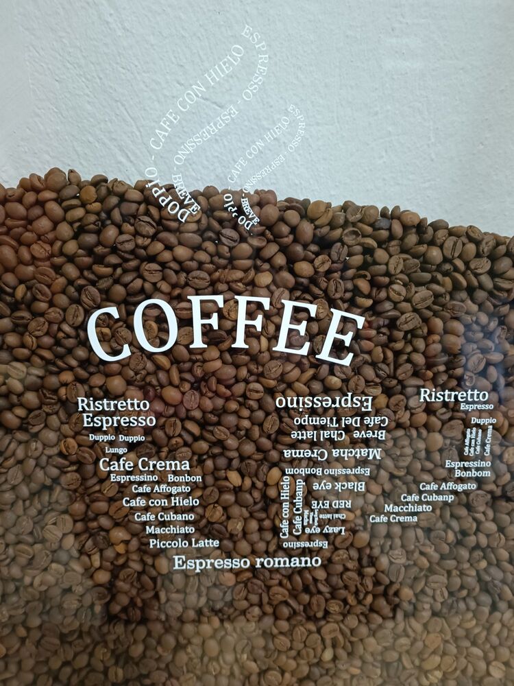 Çam K