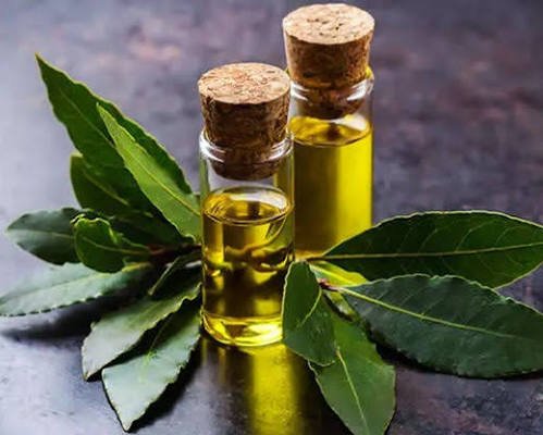 Defne Yağı 20 ml 