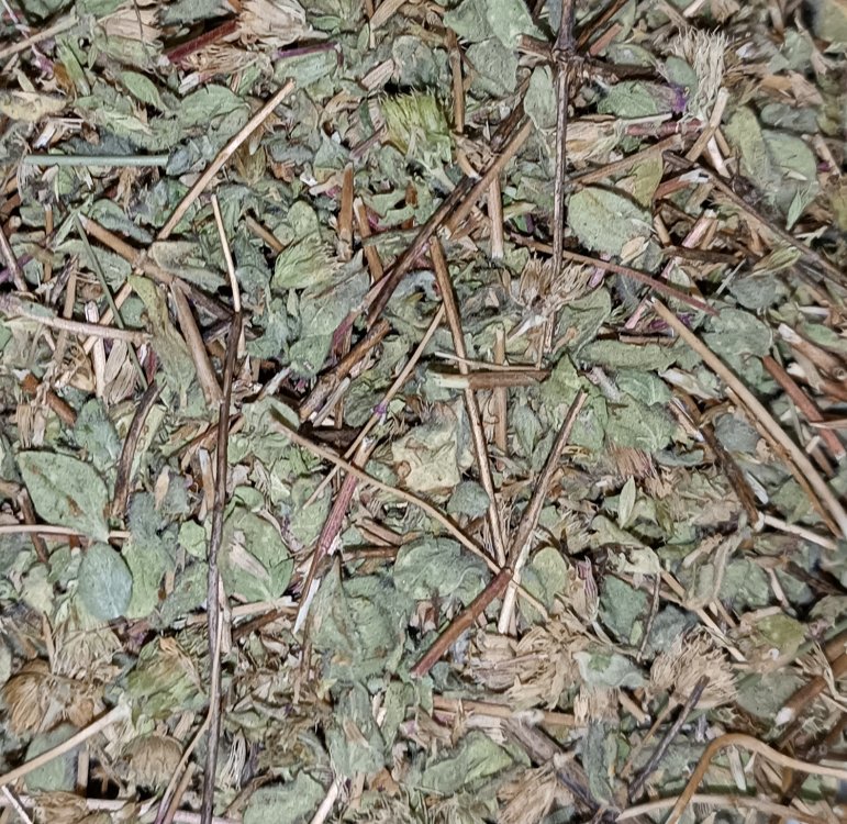 Karabaş (Kafa Süpürgesi) Otu Yağı 20 ml