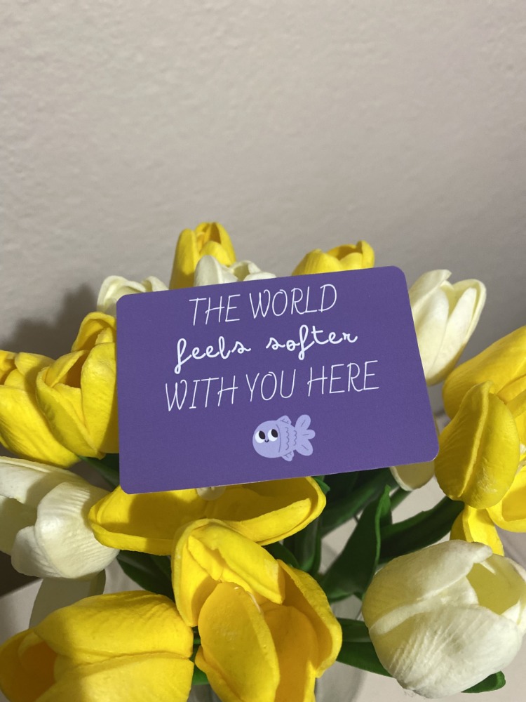 The world feels softer with you here – Motto Kart