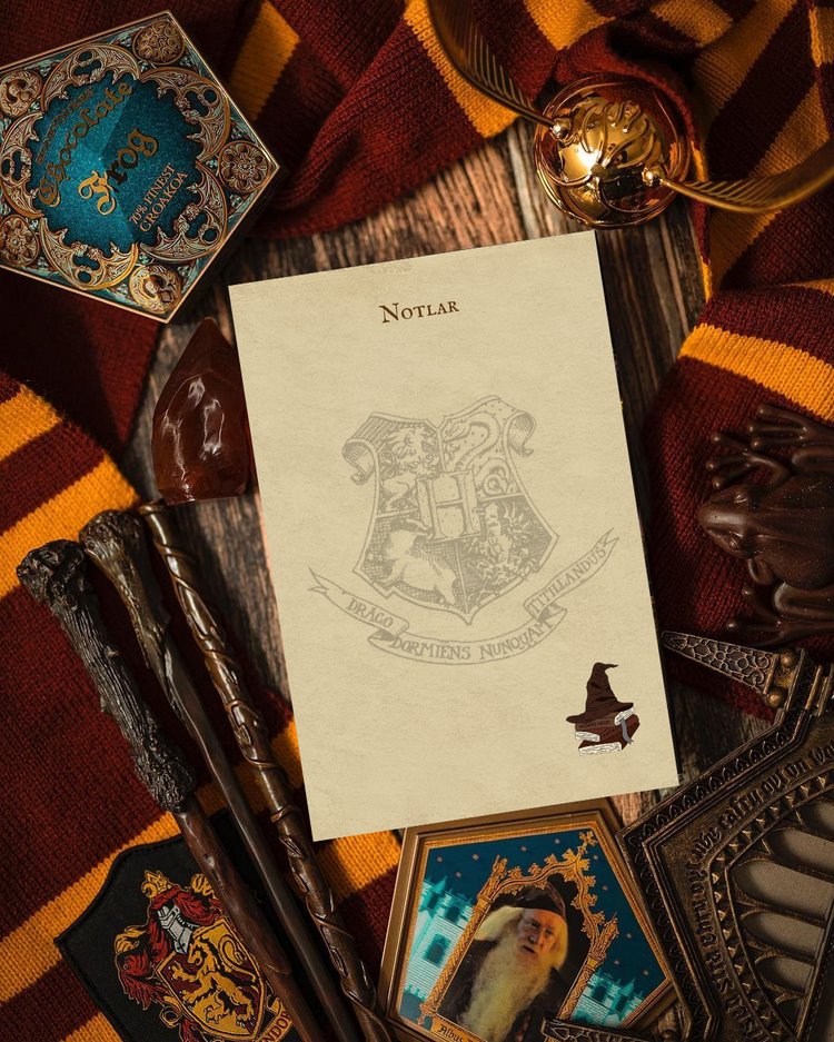 Harry Potter Not Defteri