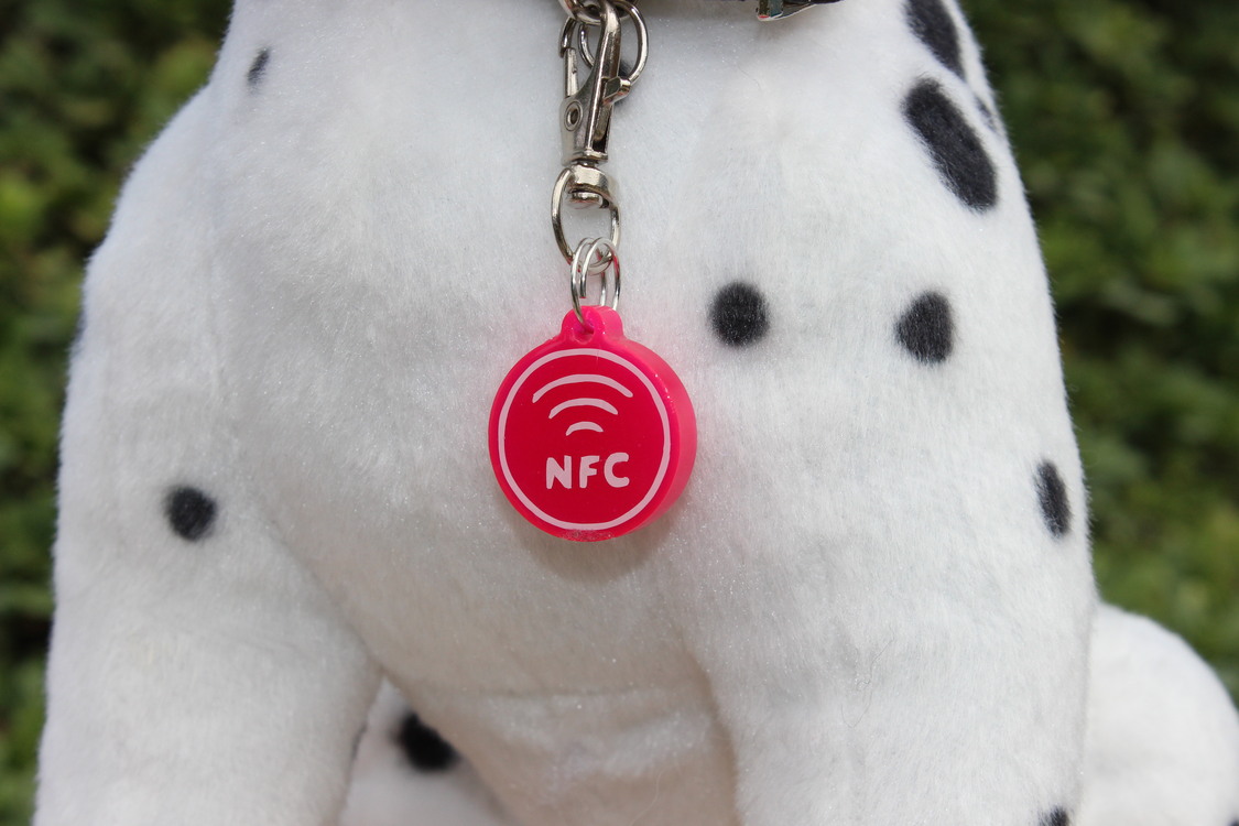 Mini NFC Çipli Dijital Künye - 2.2cm Neon Pembe