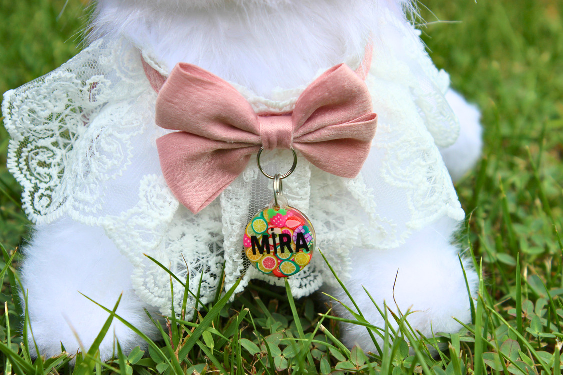 Mini NFC Pet Künye - 2.2cm Meyve Bahçesi