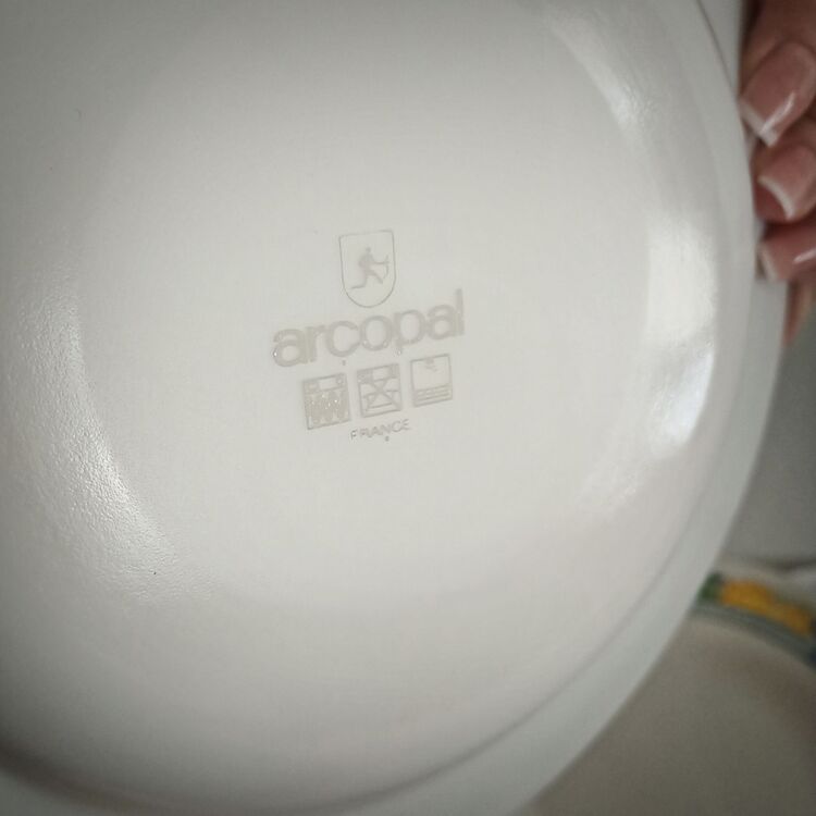 Vintage Fransız Arcopal Tabak Takımı 