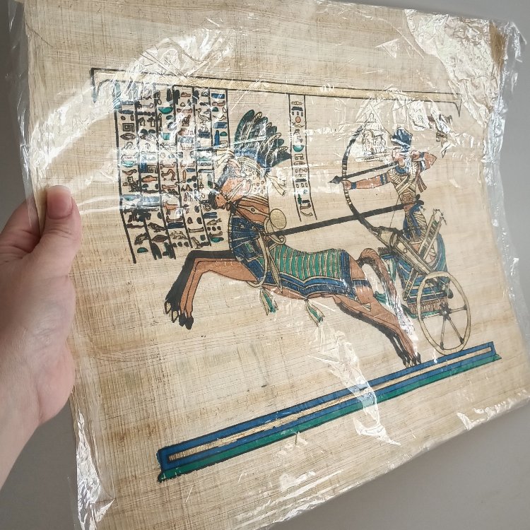 El Boyama Ramses Papirüs 