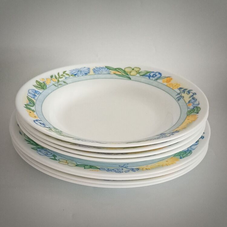Vintage Fransız Arcopal Tabak Takımı 