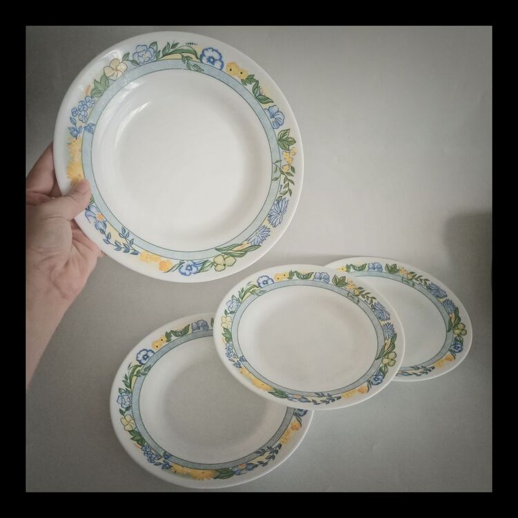 Vintage Fransız Arcopal Tabak Takımı 
