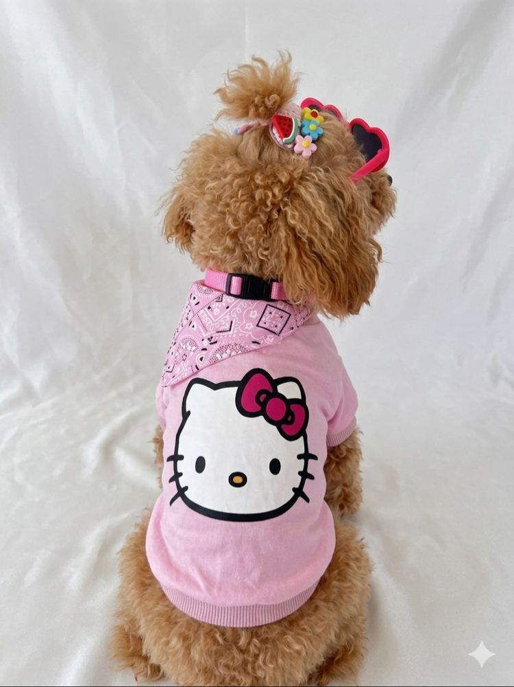 JBL KÜÇÜK IRK KÖPEK TİŞÖRT HELLO KİTY