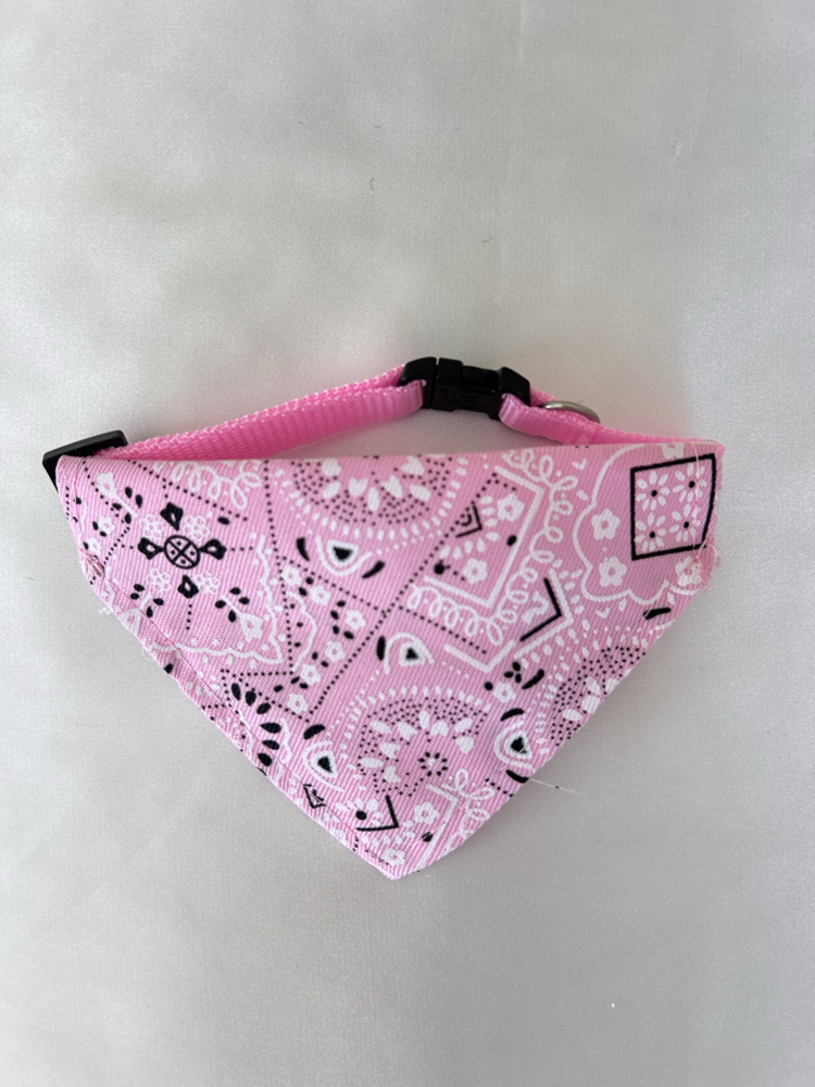 Küçük Irk Köpek Buff