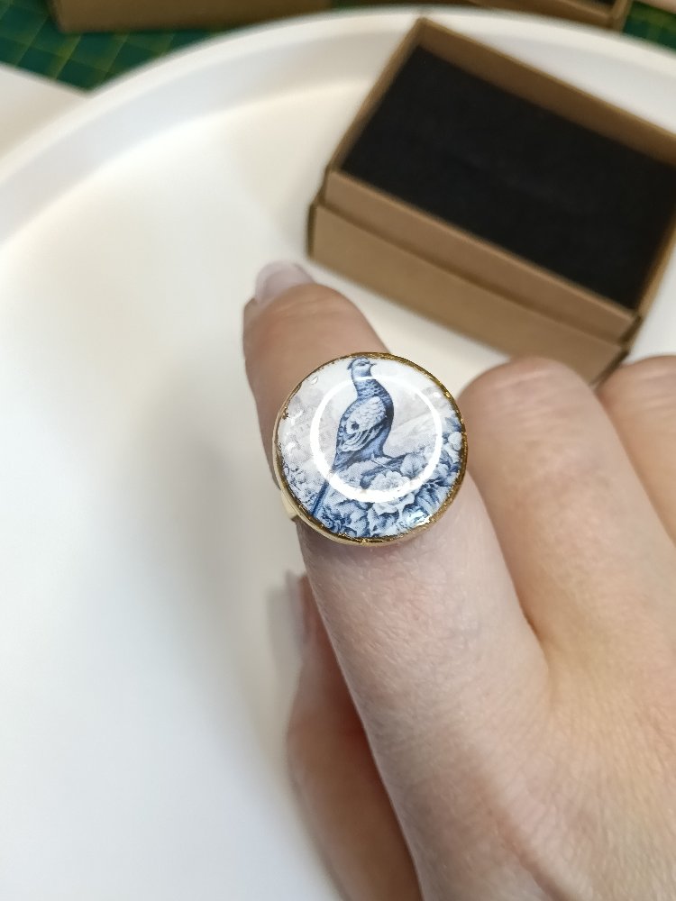 Bleu blanc güvercin yüzük