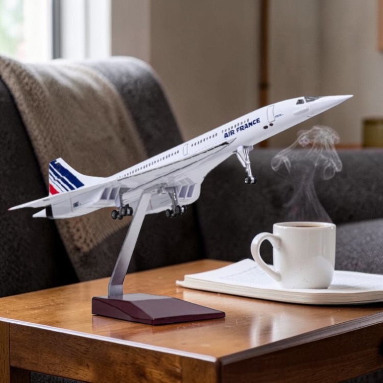 France Concorde Yolcu Uçağı Maketi 1:125 Ölçek 50 cm Dekoratif Model Uçak