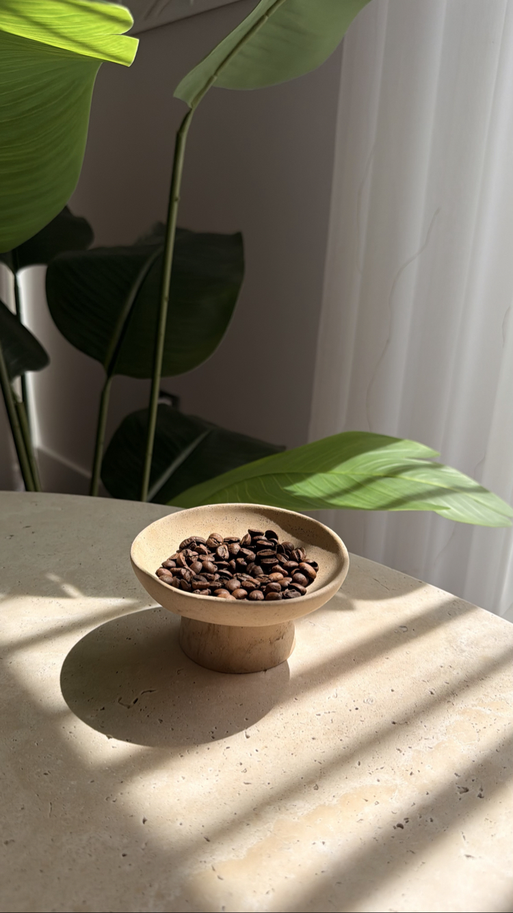 Sahara