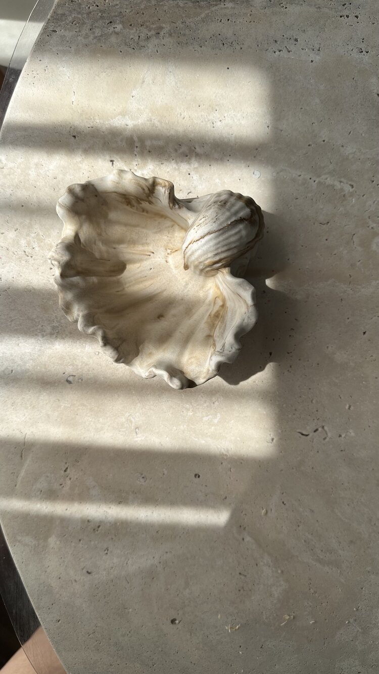 Aura