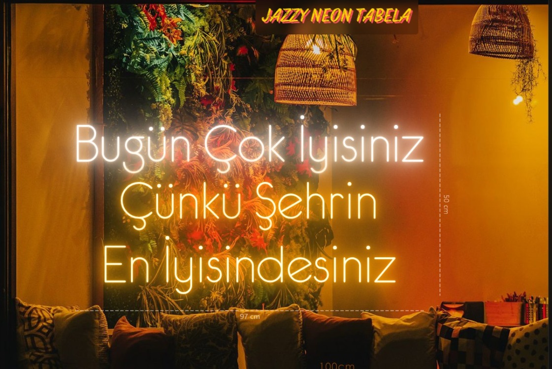 BARIŞ KAYA- 2 ADET NEON TABELA