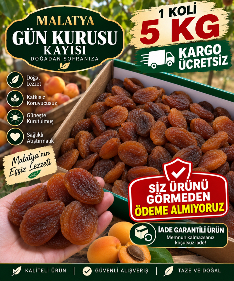 5 KG GÜN KURUSU KAYISI