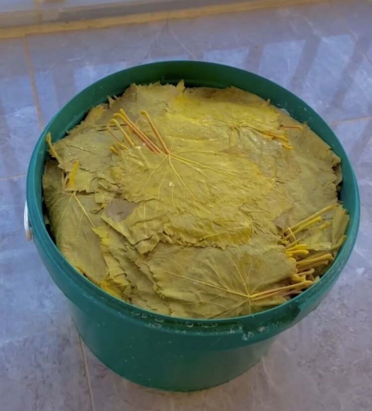 Kova yaprak 10 kg net