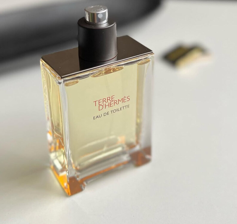 Hermès Terre d’Hermès Eau de Toilette Erkek