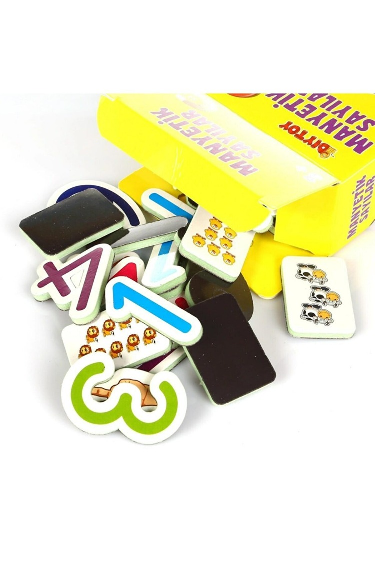 Magnet Sayılar