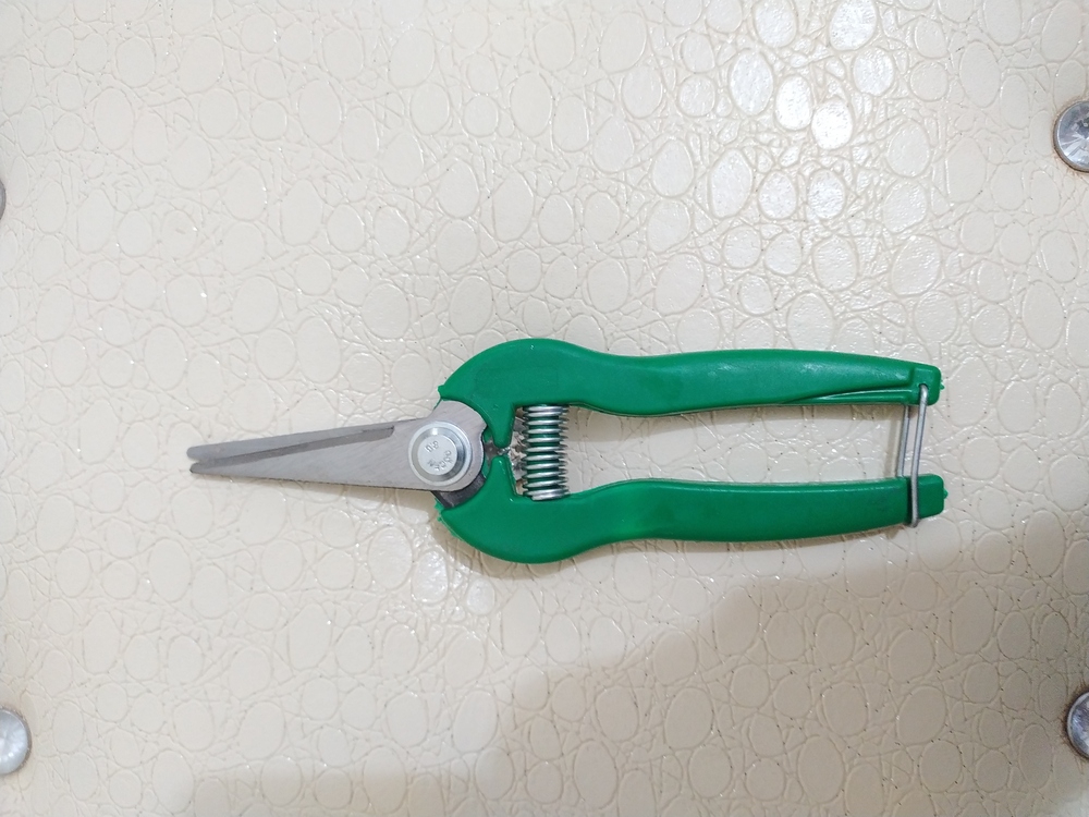 Profesyonel Kağıt Pipet Makası