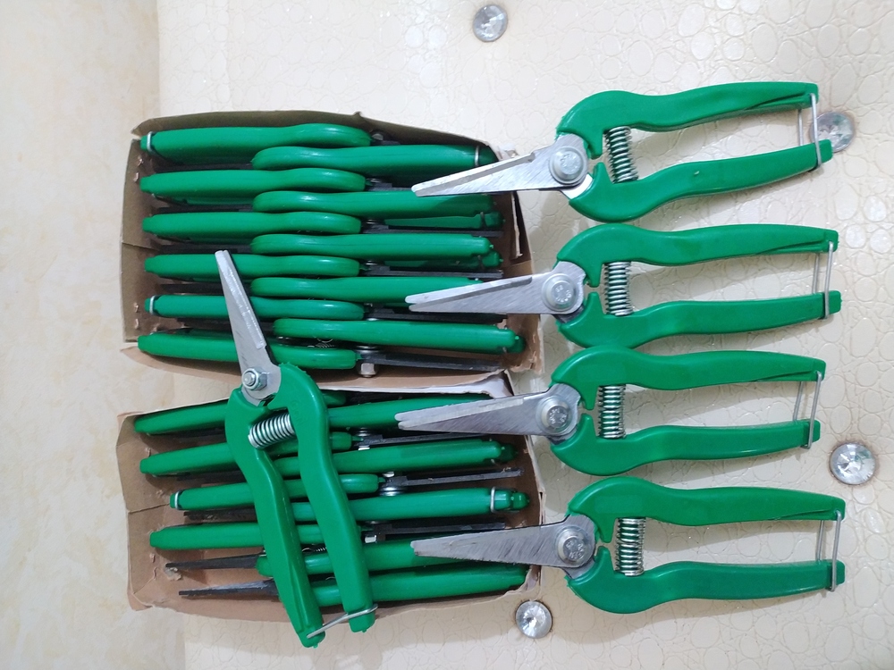 Profesyonel Kağıt Pipet Makası