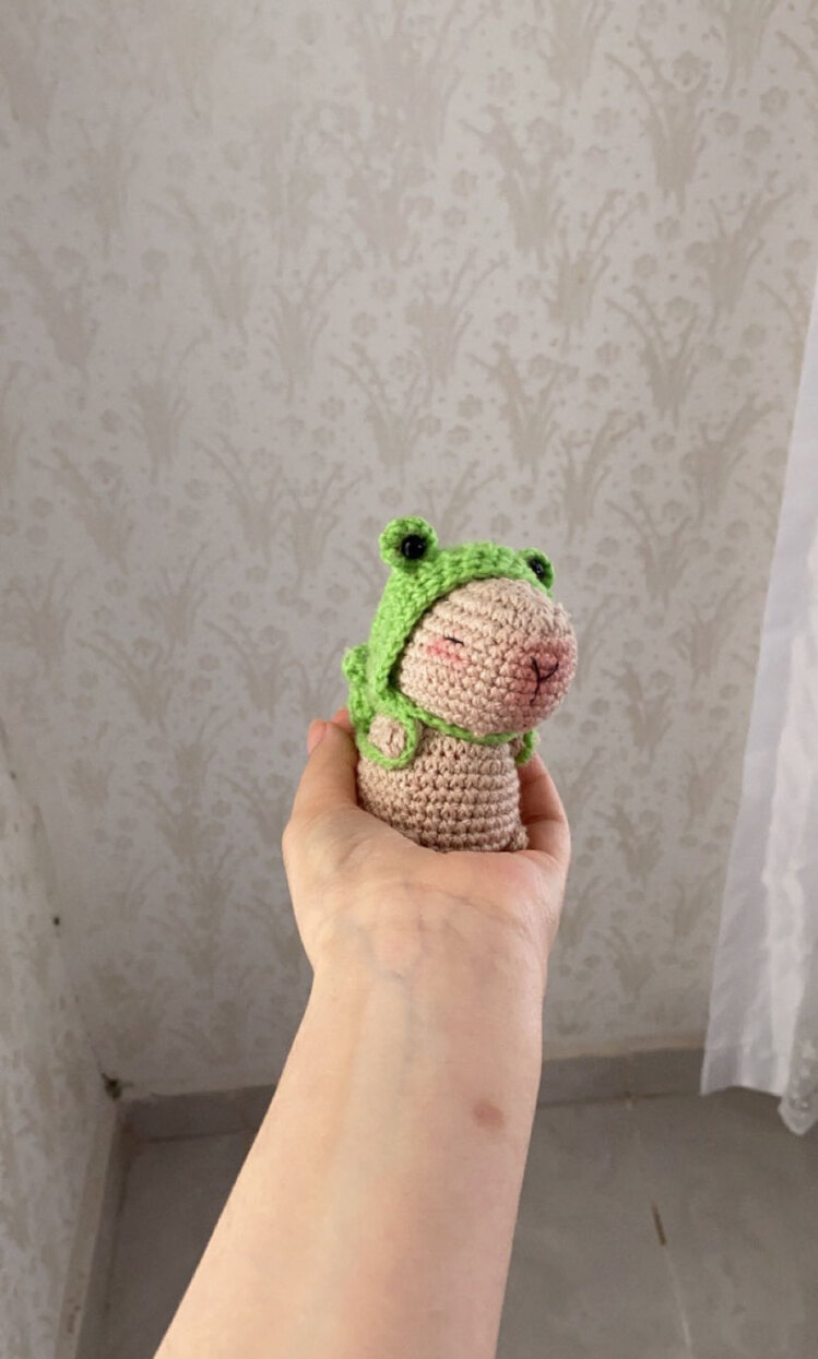 Kurbağa çantalı ve şapkalı Capybara