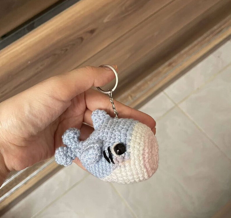 Minik köpekbalığı