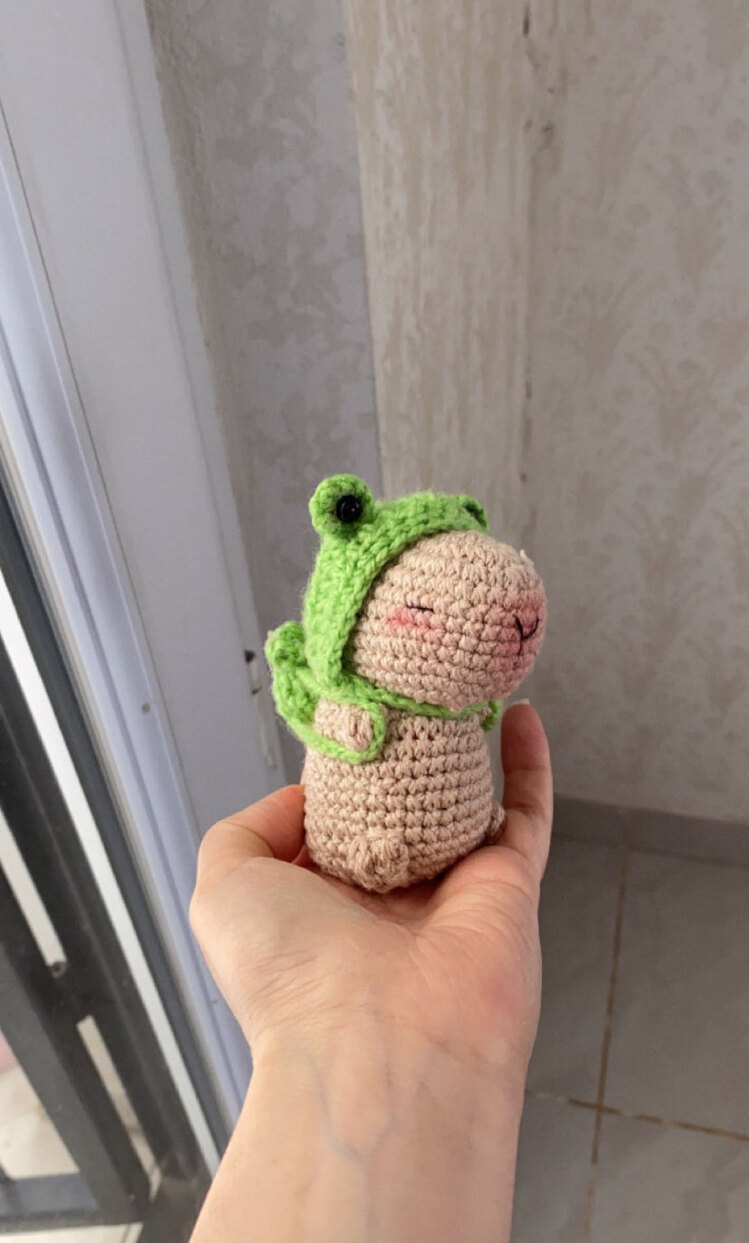 Kurbağa çantalı ve şapkalı Capybara