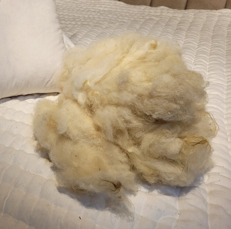 DOĞAL YIKANMIŞ KOYUN YÜNÜ 1000GR