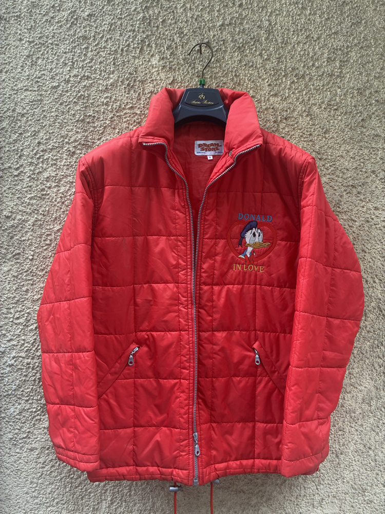 Disney mont