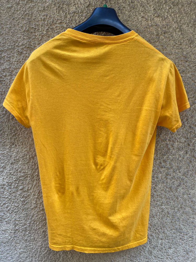 Gildan Heavy Cotton t-shirt