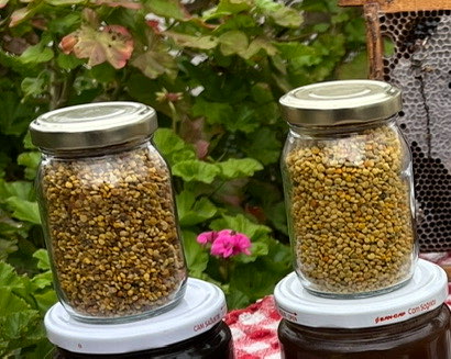 POLEN 100 GR
