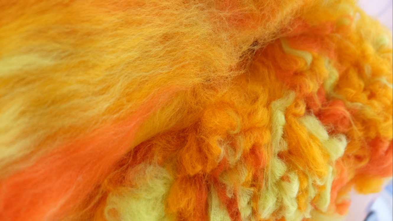 Scramble Wool 5 /ön sipariş
