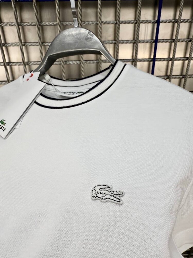 LACOSTE İTHAL TİŞÖRT