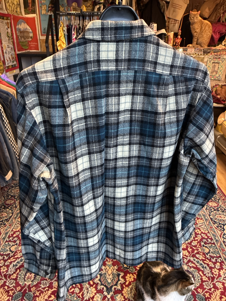 Penoleton Wool Shirt