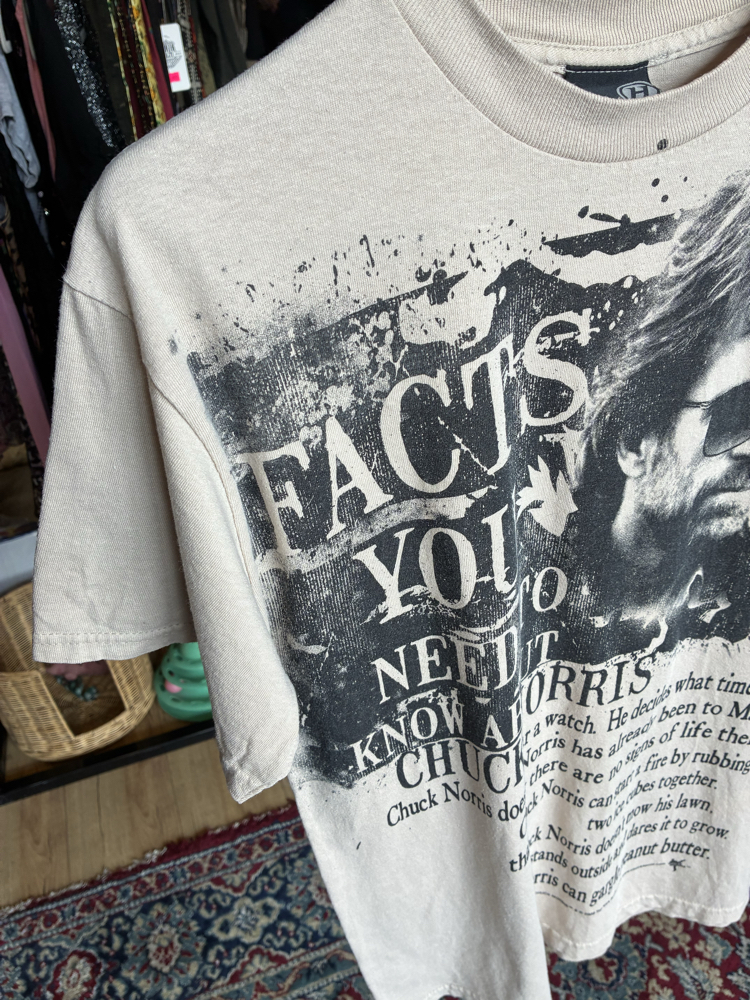 Chuck Norris Facts Graphic T-Shirt