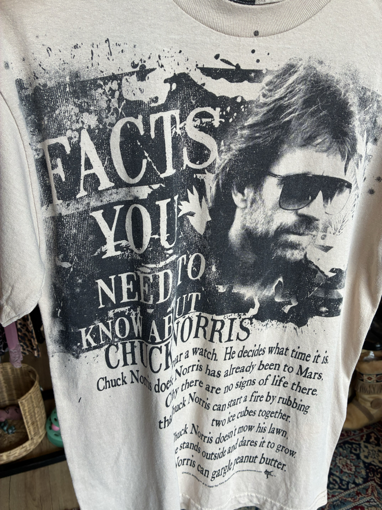 Chuck Norris Facts Graphic T-Shirt