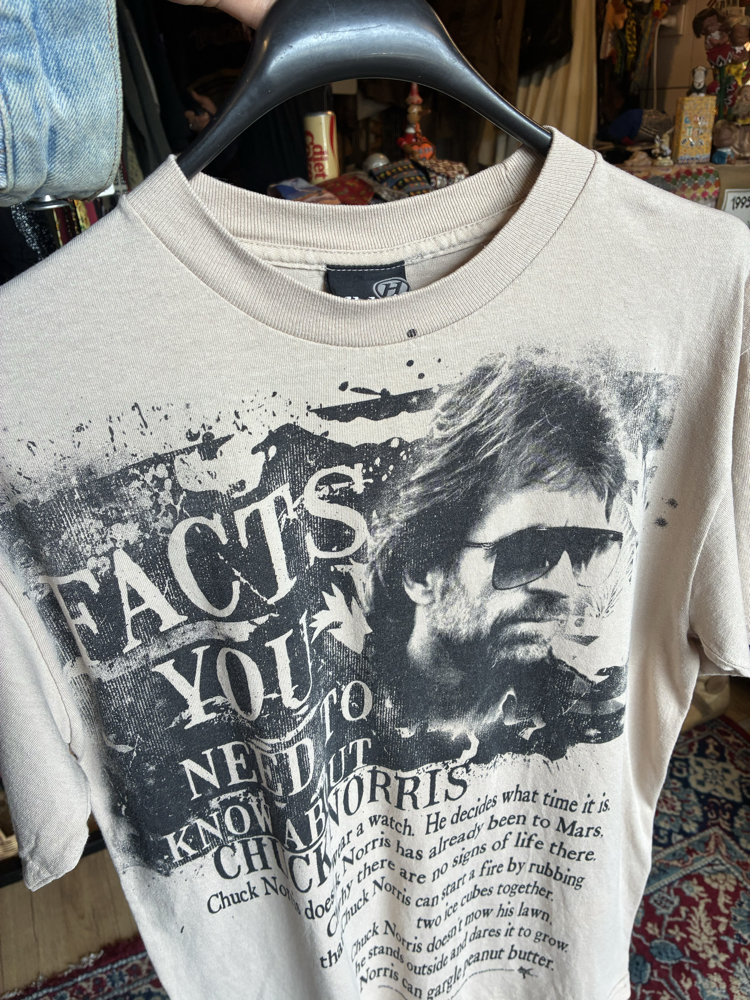 Chuck Norris Facts Graphic T-Shirt