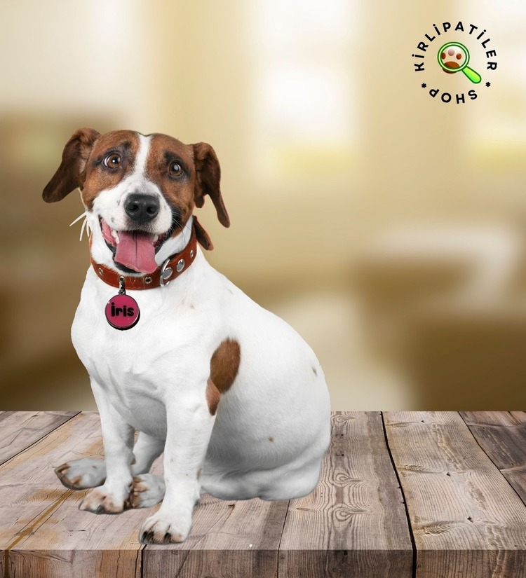 KirliPatiler Kedi ve Köpek Epoksi Madalyon Künye İsimlik Karekodlu