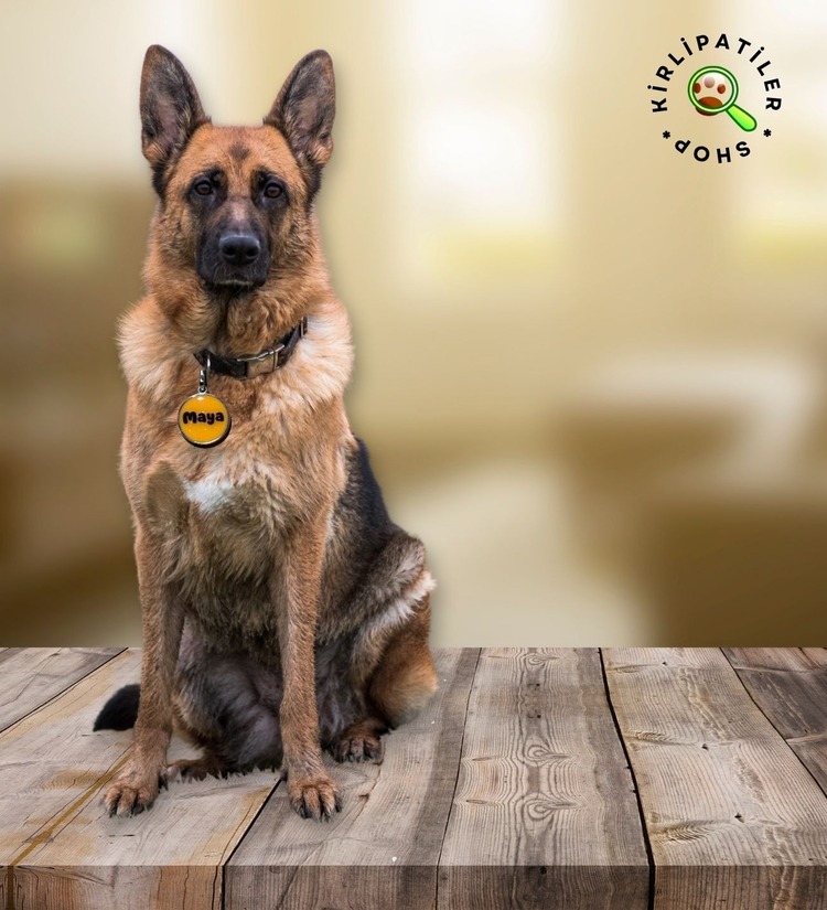 KirliPatiler Kedi ve Köpek Epoksi Madalyon Künye İsimlik Karekodlu
