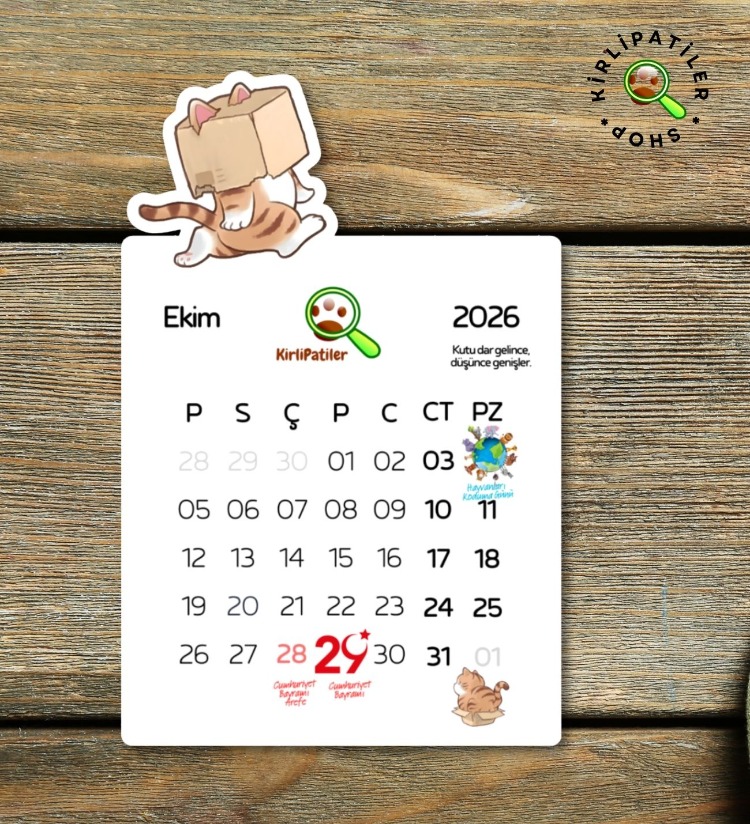 KirliPatiler 2026 Takvim Uykucu Kedi