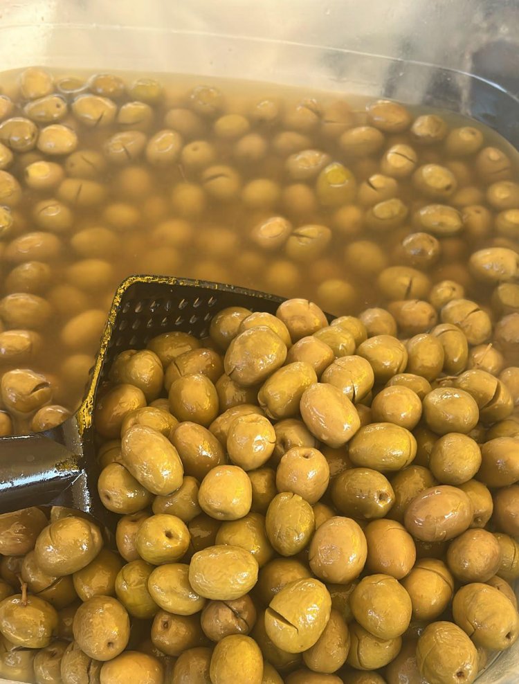 KIRMA ZEYTİN (GEMLİK) 