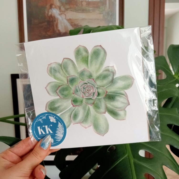 Echeveria - Mini Sanat Serisi (15x15)