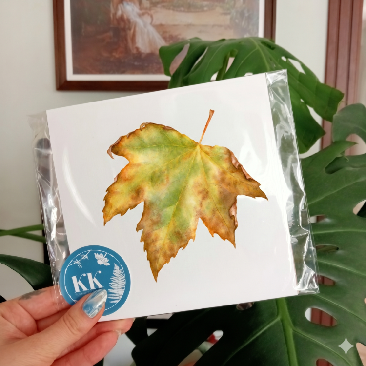 Platanus sp. - Mini Sanat Serisi (15x15)
