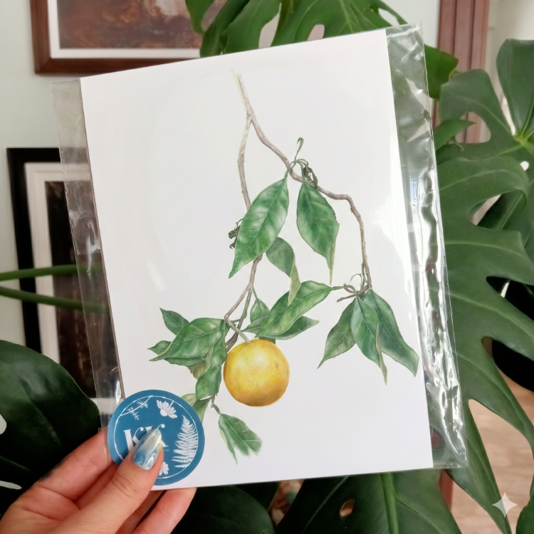 Citrus bergamia - Mini Sanat Serisi (A5)