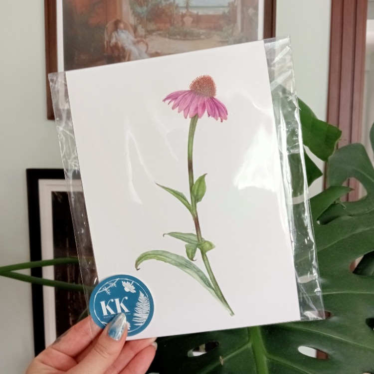 Echinacea purpurea - Mini Sanat Serisi (A5)