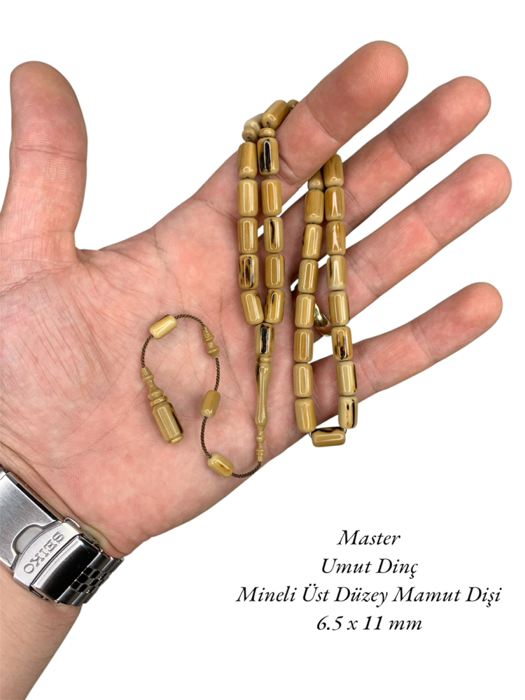 ZİRVE BİR MAMUT DİŞ
