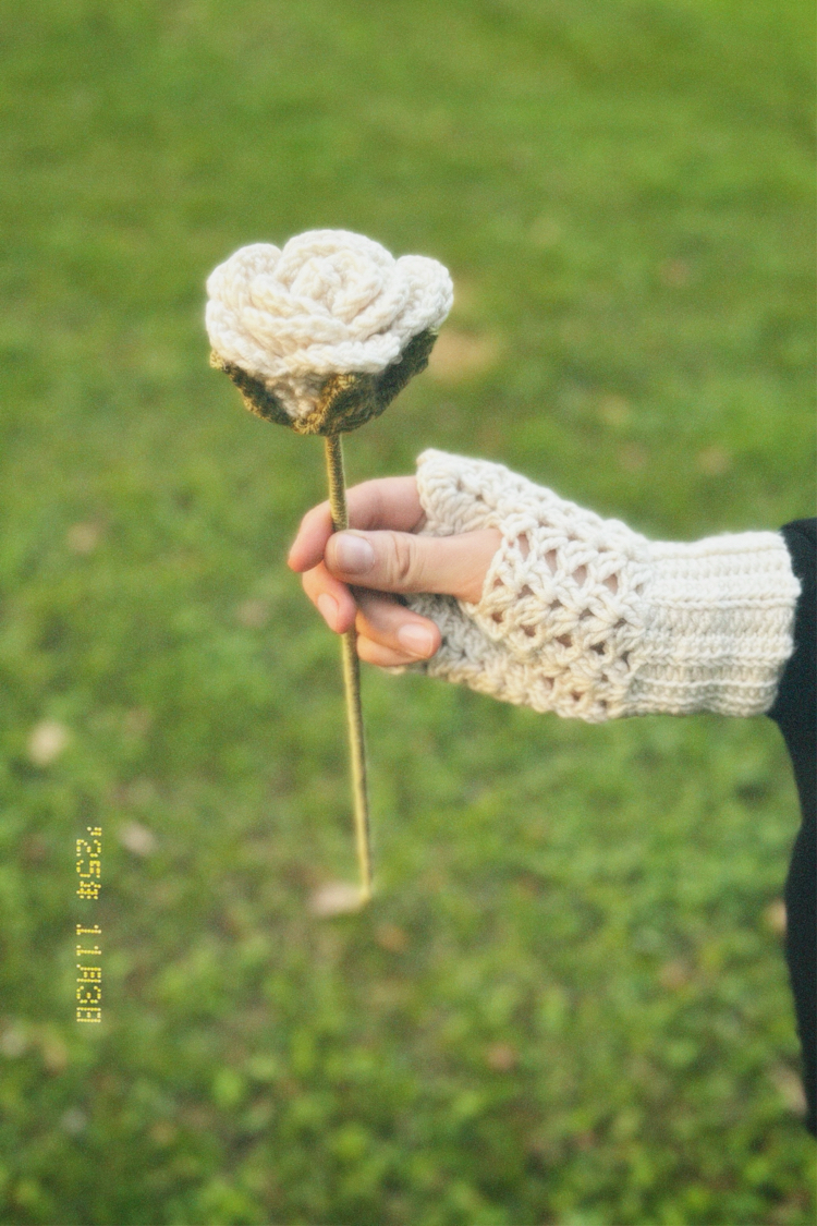 BALKÖPÜĞÜ ELDİVEN