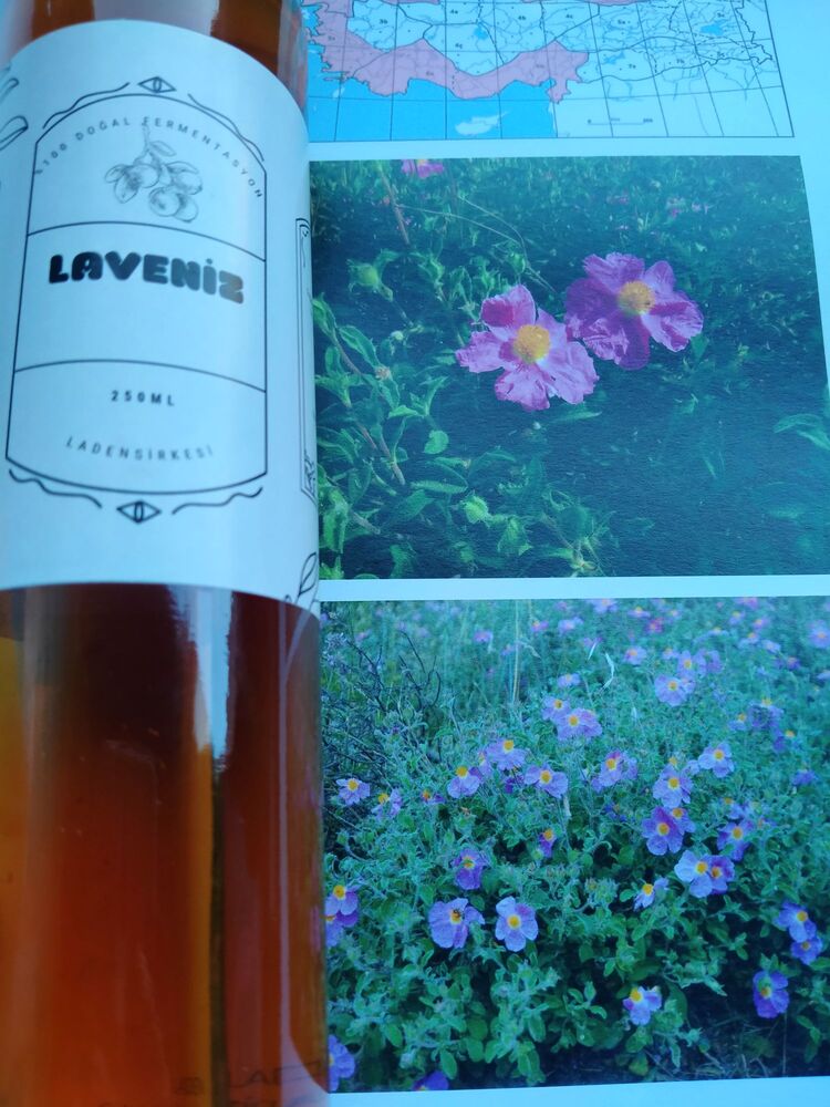 laden sırkesi
